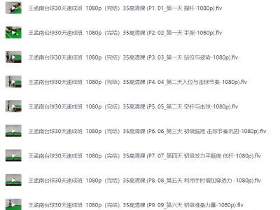 花了998买来的台球内部教程，正版高清视频教程
