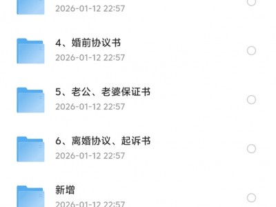 【别人在小红书挣了28万的】130套婚内财产协议书模版