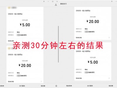 【粉丝福利】送你们一个新年礼物！小红书一个95后小姑娘，靠这个项目，每天1000+